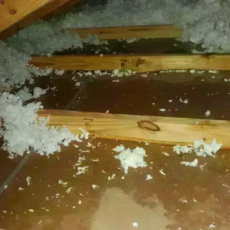 Attic Water Damage in Country Lake Estates, NJ